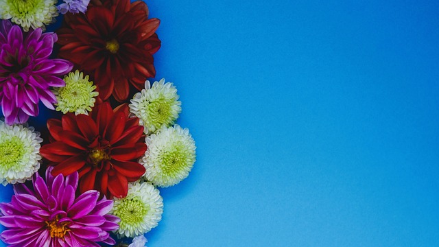 帕雷德斯：多夫比克很重要，但我们现有的球员实力也很强.