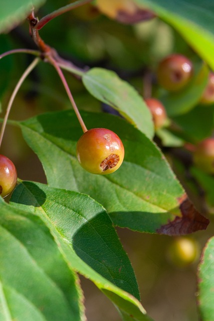 创建了一个 创建了一个