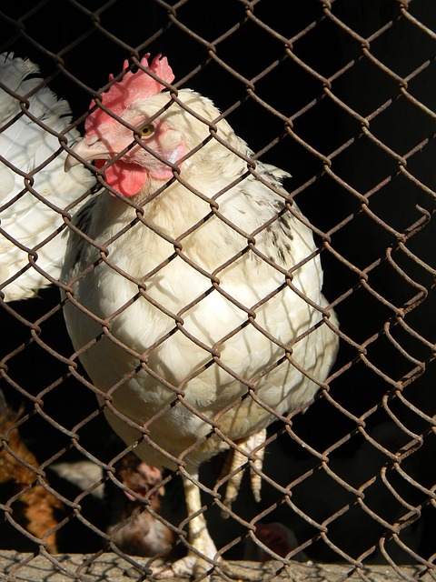 深圳女校长天团C位闪耀!深圳教育引人瞩目的“她力量”.
