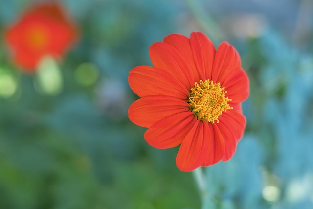 中国足球在 中国足球在