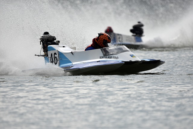 到支持本土 到支持本土